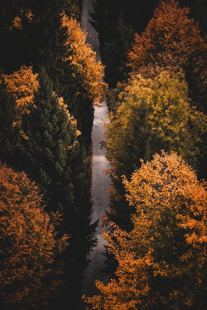 Hiking Gear